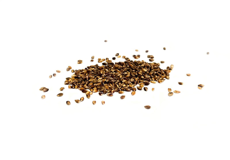 Load image into Gallery viewer, Organic Purple Barley