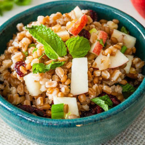 Wheat Berry Salad with Dried Cherries and Honey Crisp Apples