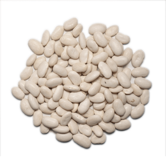 What Are Great Northern Beans?