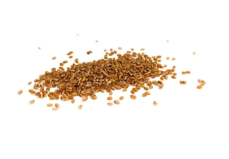 Load image into Gallery viewer, Organic Hard Red Spring Wheat Berries
