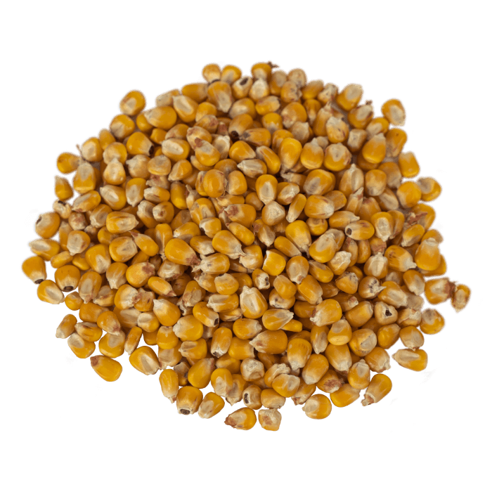 Load image into Gallery viewer, Organic Whole Yellow Corn
